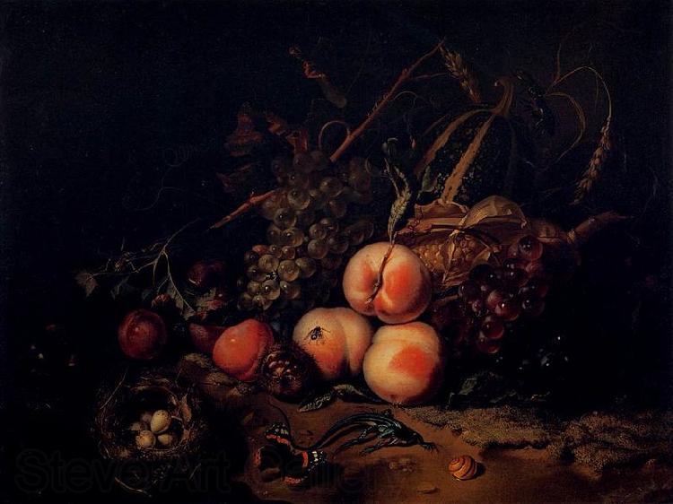 Rachel Ruysch Still-Life with Fruit and Insects